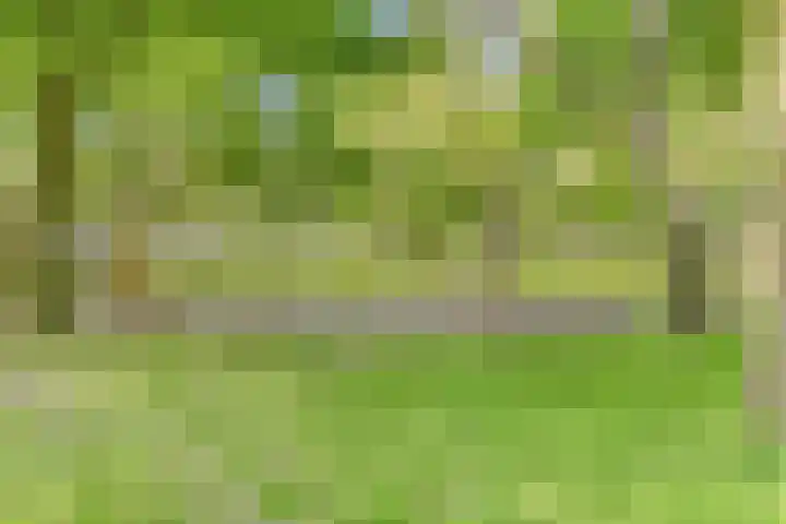 Heidekruid 48 Rotterdam thumbnail 30