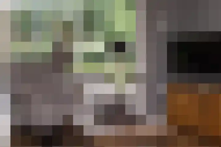 Heidelaan 9 Emmen thumbnail 11