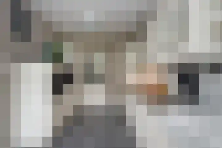 Heidelaan 9 Emmen thumbnail 17
