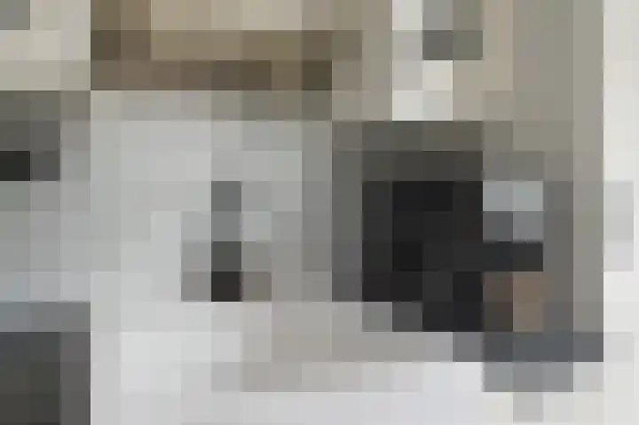 Heidelaan 9 Emmen thumbnail 21