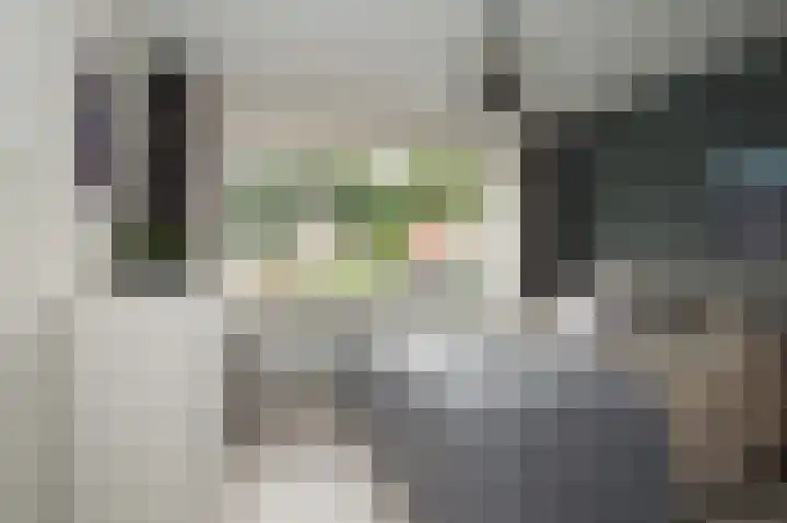 Heidelaan 9 Emmen thumbnail 28