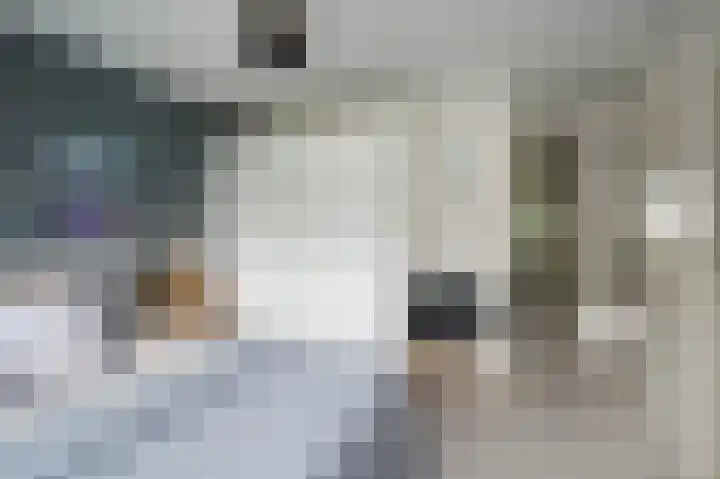 Heidelaan 9 Emmen thumbnail 30