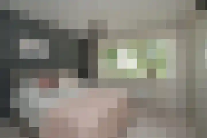 Heidelaan 9 Emmen thumbnail 31