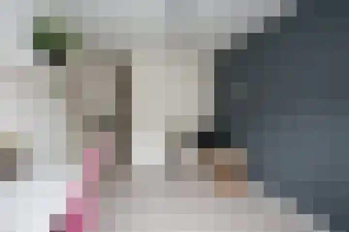 Heidelaan 9 Emmen thumbnail 35