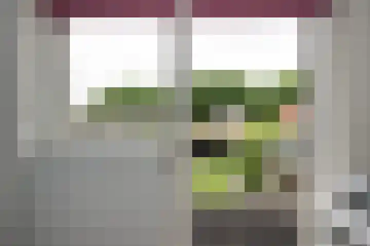 Heidelaan 9 Emmen thumbnail 36