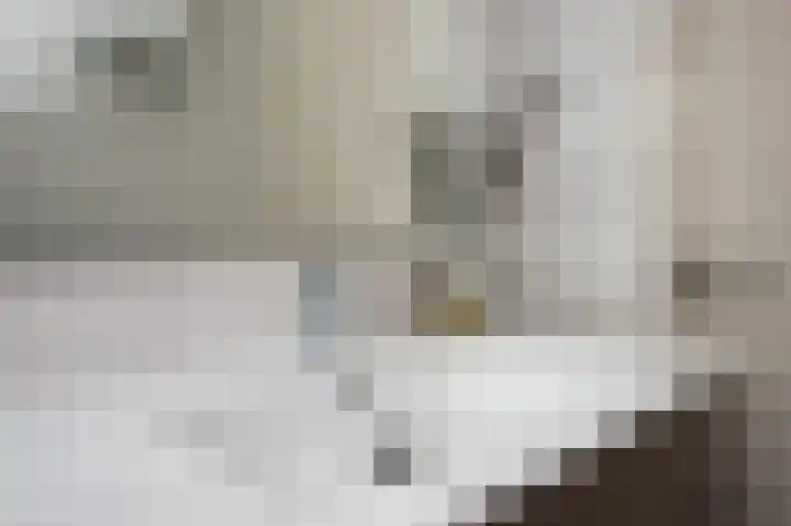 Heidelaan 9 Emmen thumbnail 41