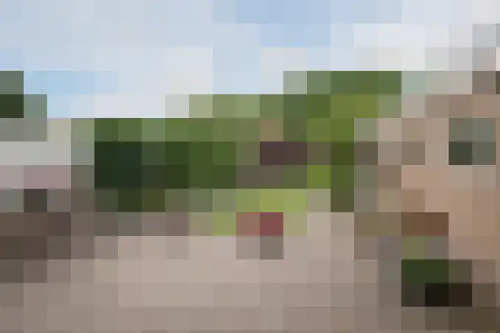 Heidelaan 9 Emmen thumbnail 48