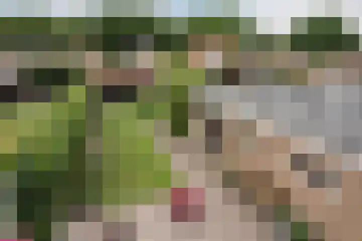 Heidelaan 9 Emmen thumbnail 49