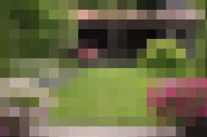 Heidelaan 9 Emmen thumbnail 50