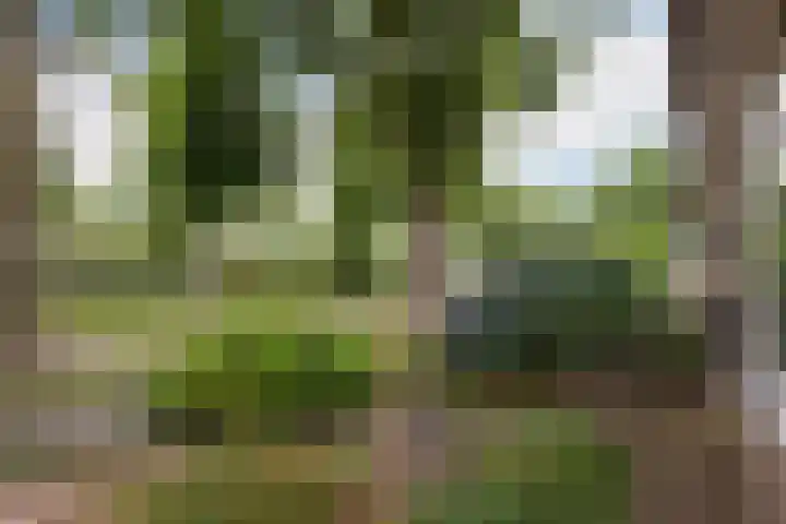 Heidelaan 9 Emmen thumbnail 54