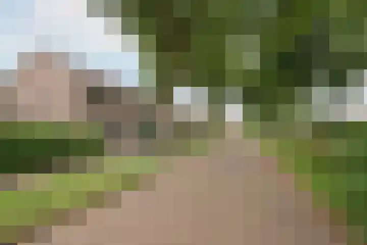 Heidelaan 9 Emmen thumbnail 55
