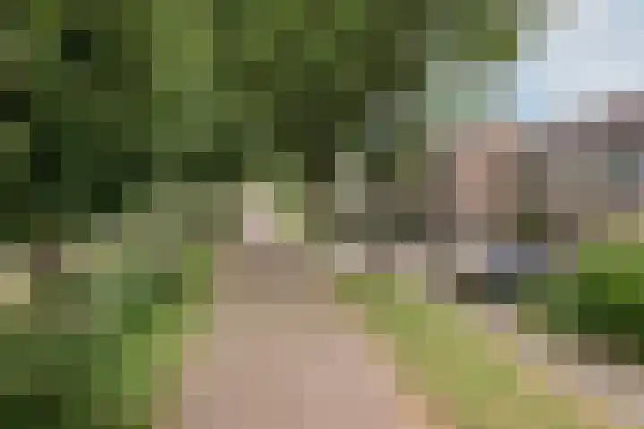 Heidelaan 9 Emmen thumbnail 6