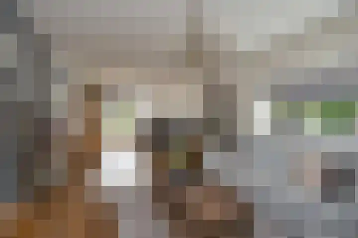 Heidelaan 9 Emmen thumbnail 9