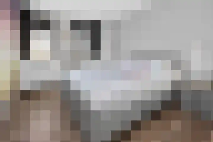 Heidepad 2 Eerbeek thumbnail 15