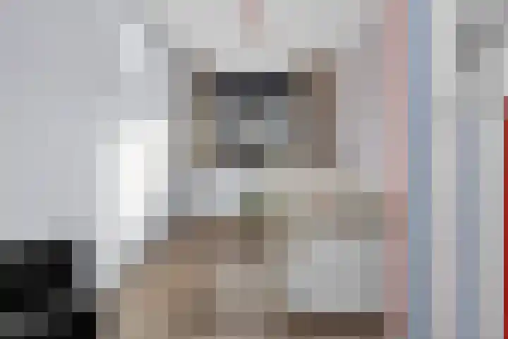 Heidepad 2 Eerbeek thumbnail 16