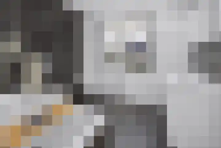 Heidepad 2 Eerbeek thumbnail 18