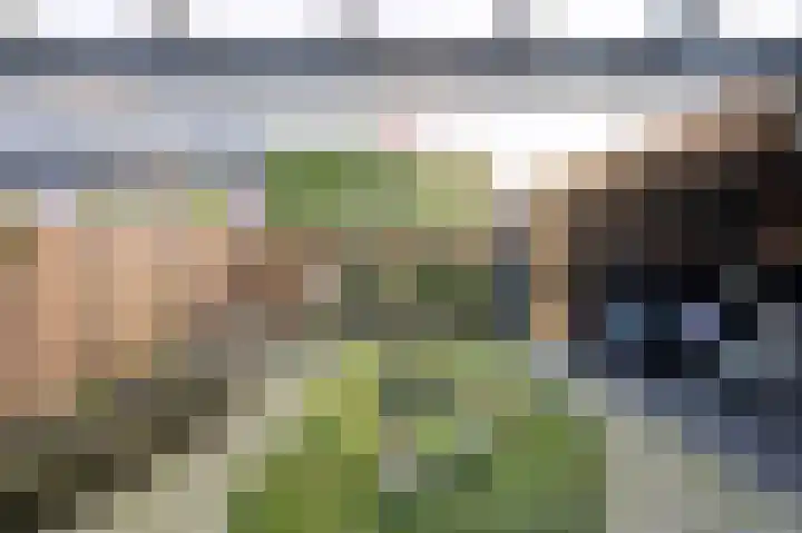Heidepad 2 Eerbeek thumbnail 32