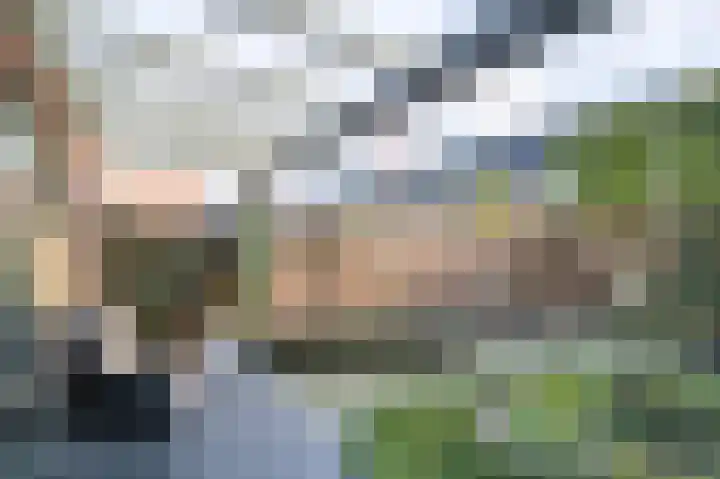 Heidepad 2 Eerbeek thumbnail 33