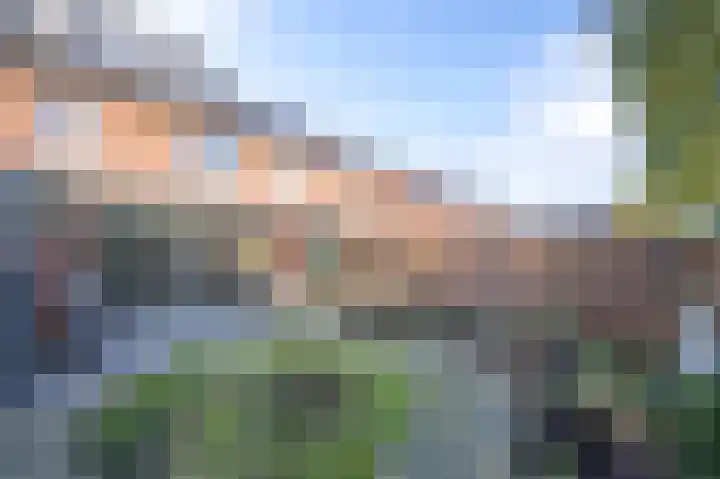 Heidepad 2 Eerbeek thumbnail 34