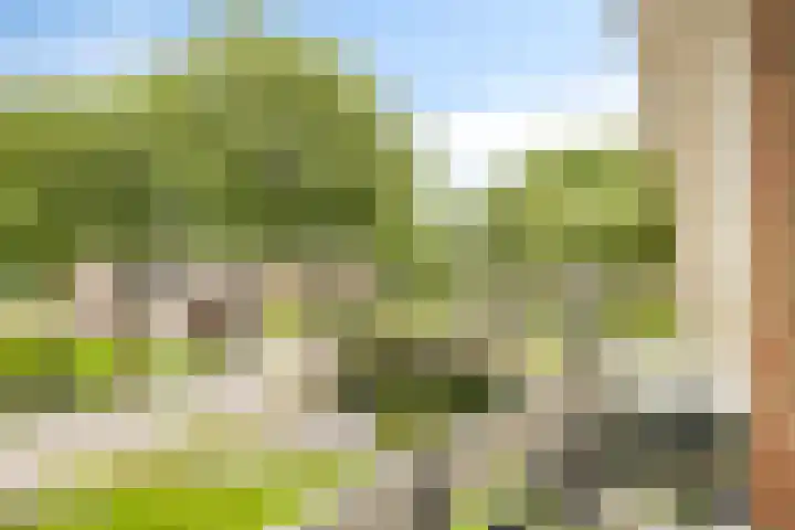 Heidestraat 11 Weiteveen thumbnail 32