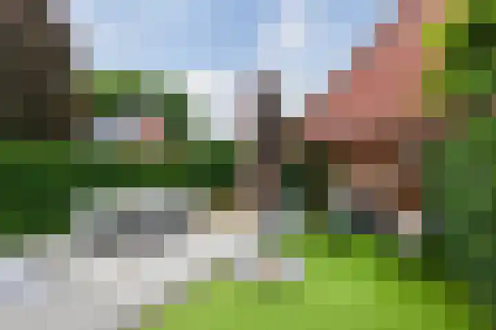 Heidestraat 4 c Putte thumbnail 29