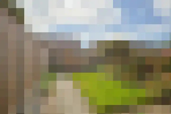 Heidestraat 42 Geleen foto 2