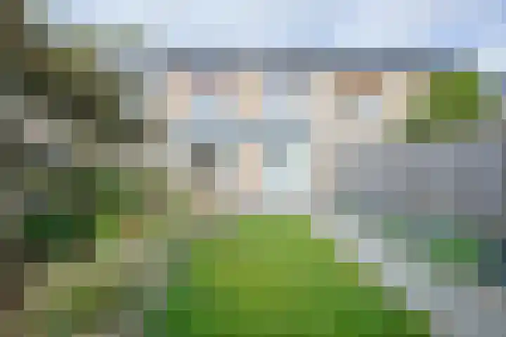 Heidestraat 42 Geleen thumbnail 23