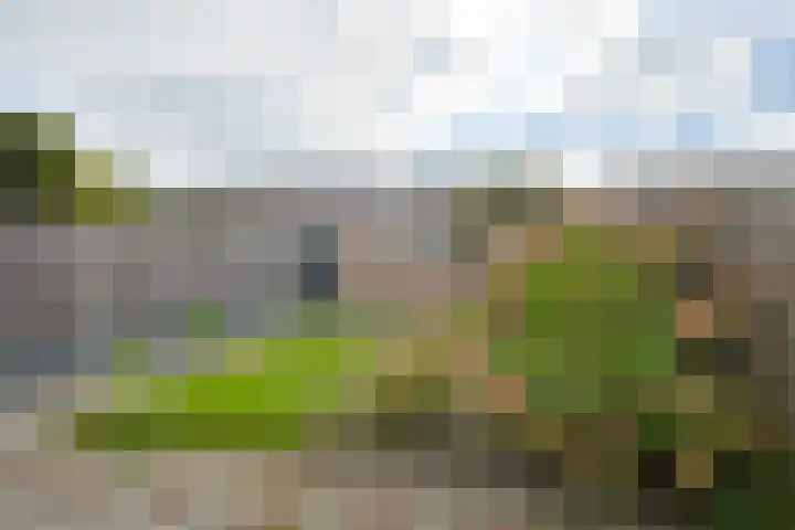 Heidestraat 42 Geleen thumbnail 24