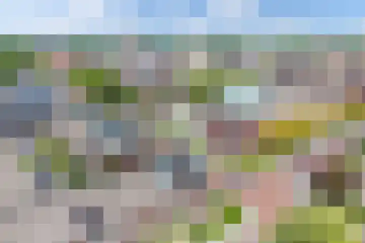 Heidetuin 135 Houten