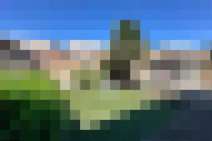 Heidetuin 35 Houten thumbnail 12