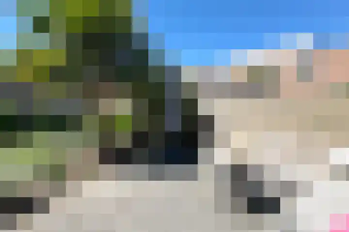 Heidetuin 35 Houten thumbnail 13
