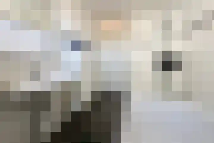 Heidetuin 35 Houten thumbnail 19