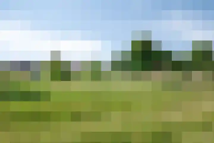 Heidetuin 35 Houten foto 2