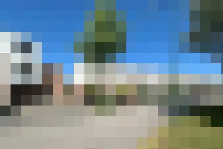 Heidetuin 35 Houten thumbnail 27