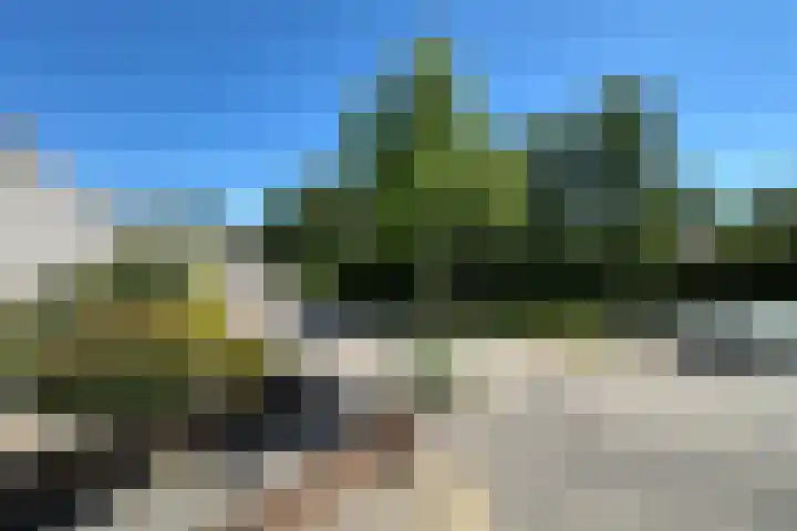 Heidetuin 35 Houten thumbnail 28