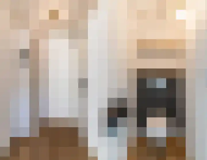 Heidetuin 35 Houten thumbnail 5