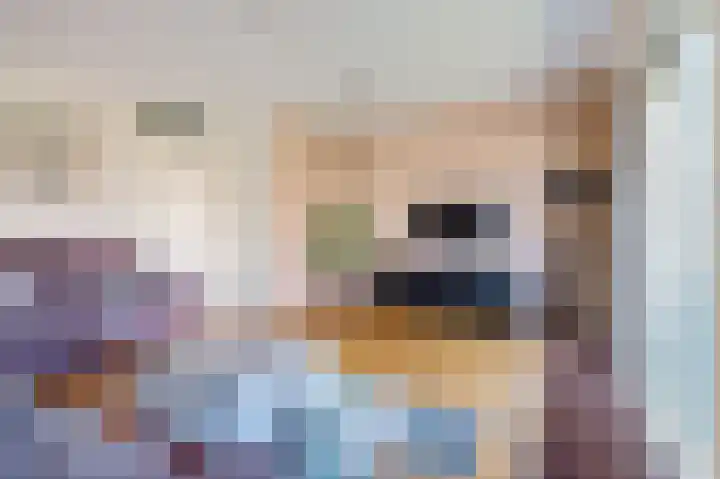 Heidetuin 35 Houten thumbnail 8