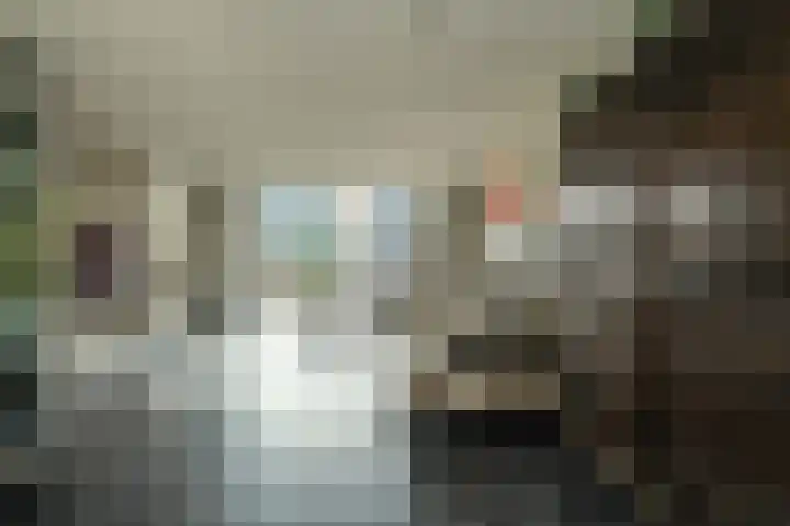 Heideveen 11 Breda thumbnail 14