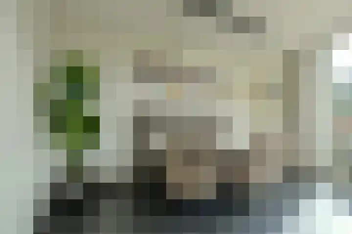 Heideveen 11 Breda thumbnail 16