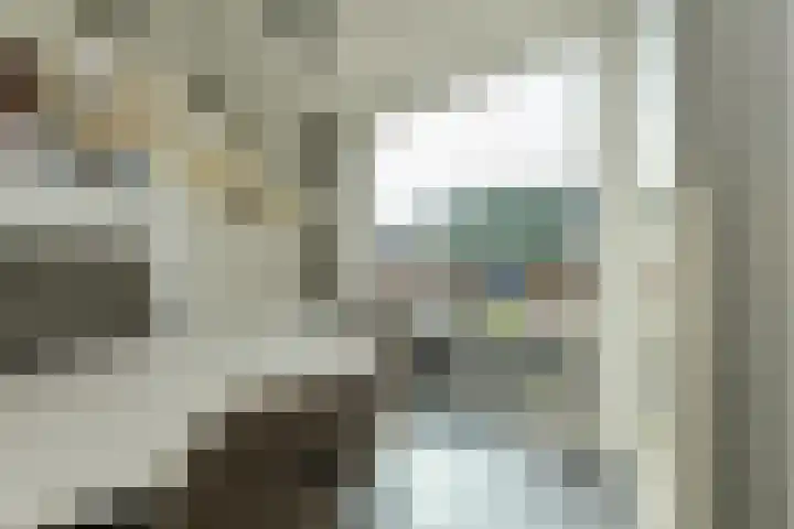 Heideveen 11 Breda thumbnail 17