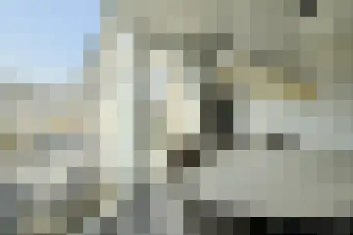 Heideveen 11 Breda thumbnail 18