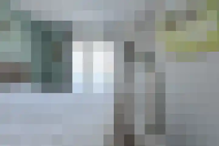 Heideveen 11 Breda thumbnail 23