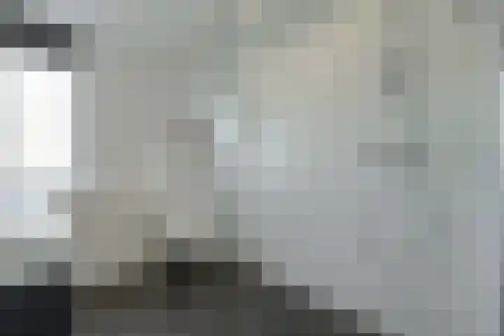 Heideveen 11 Breda thumbnail 26