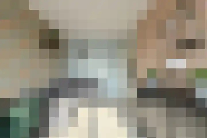 Heideveen 11 Breda thumbnail 30