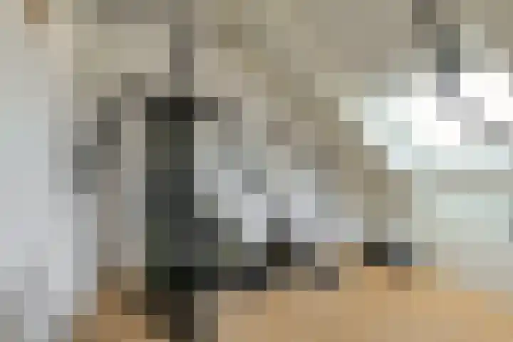 Heideveen 11 Breda thumbnail 37