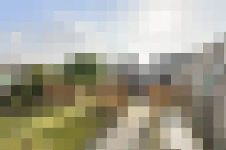 Heideveen 11 Breda thumbnail 43