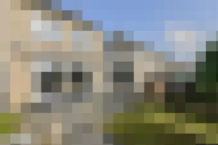 Heideveen 11 Breda thumbnail 47