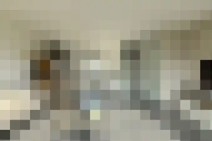 Heideveen 11 Breda thumbnail 8