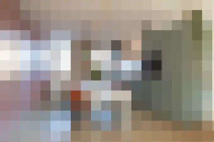 Heideveld 13 Assen thumbnail 13