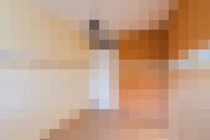 Heideveld 20 Assen thumbnail 24